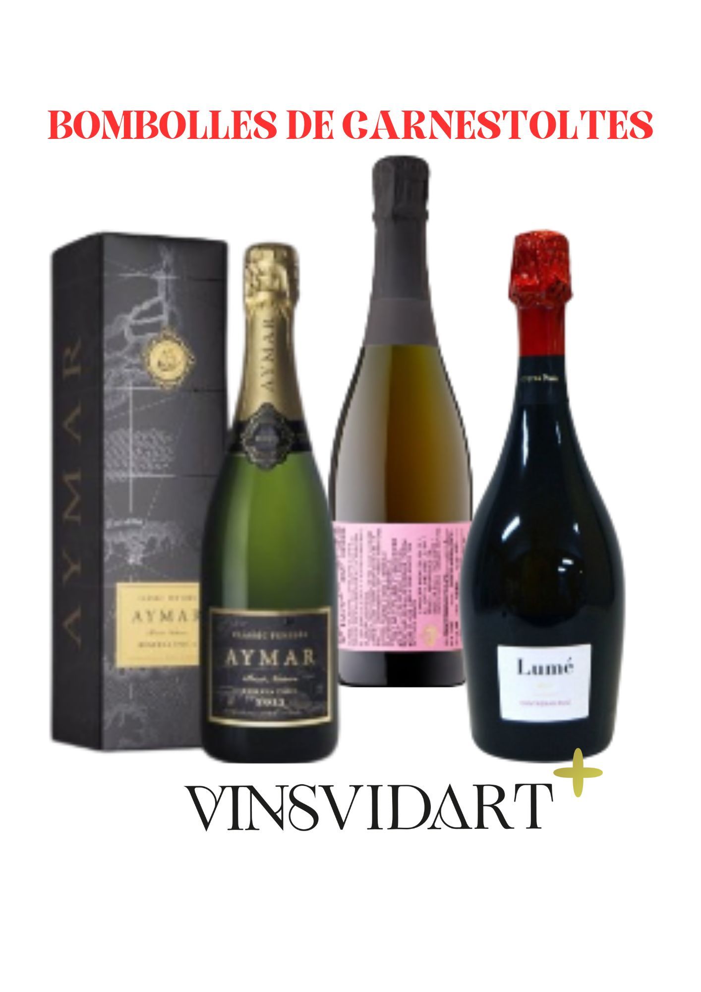 LOT VINSVIDART+ febrer 2025