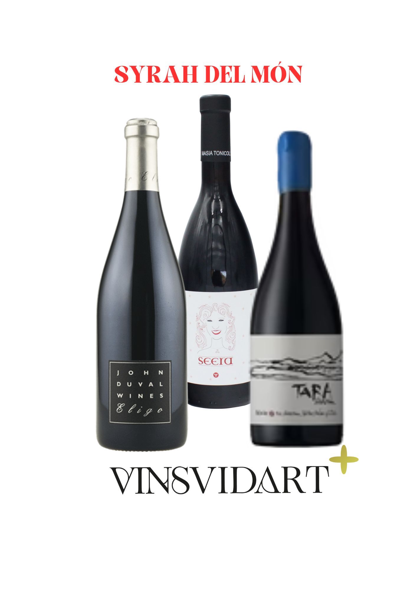 LOT VINSVIDART+ (1)