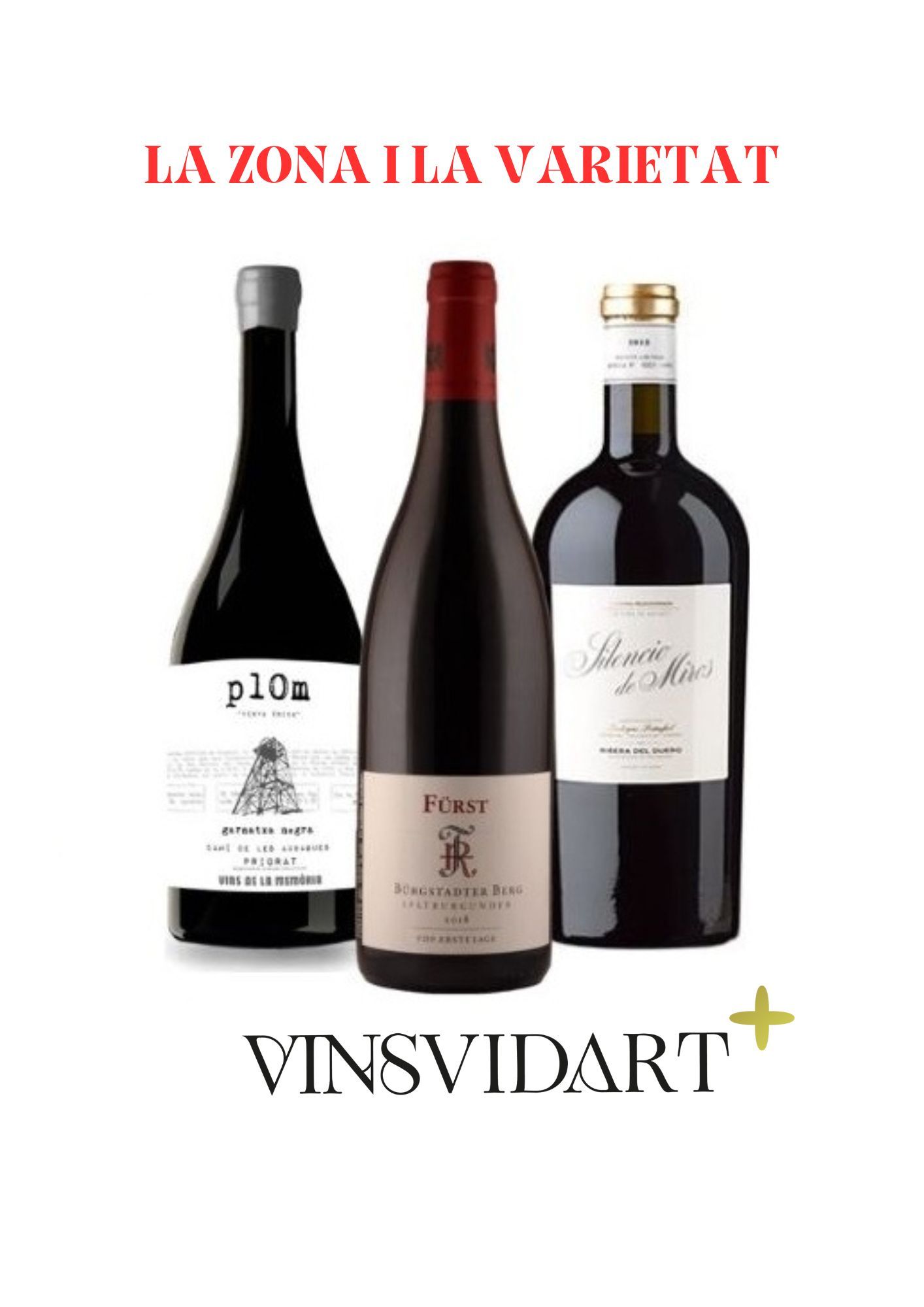 LOT VINSVIDART+ (2)