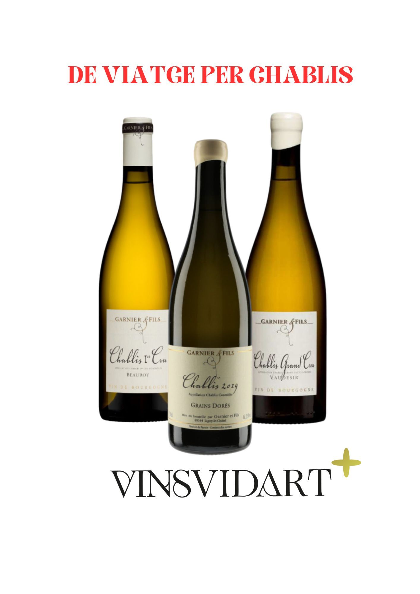 LOT VINSVIDART+ (2)