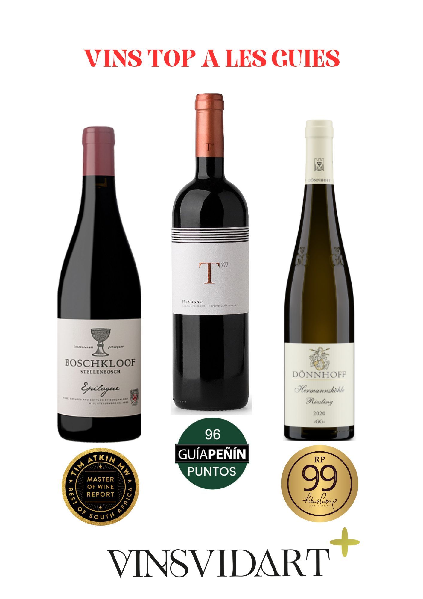 LOT VINSVIDART+ (4)
