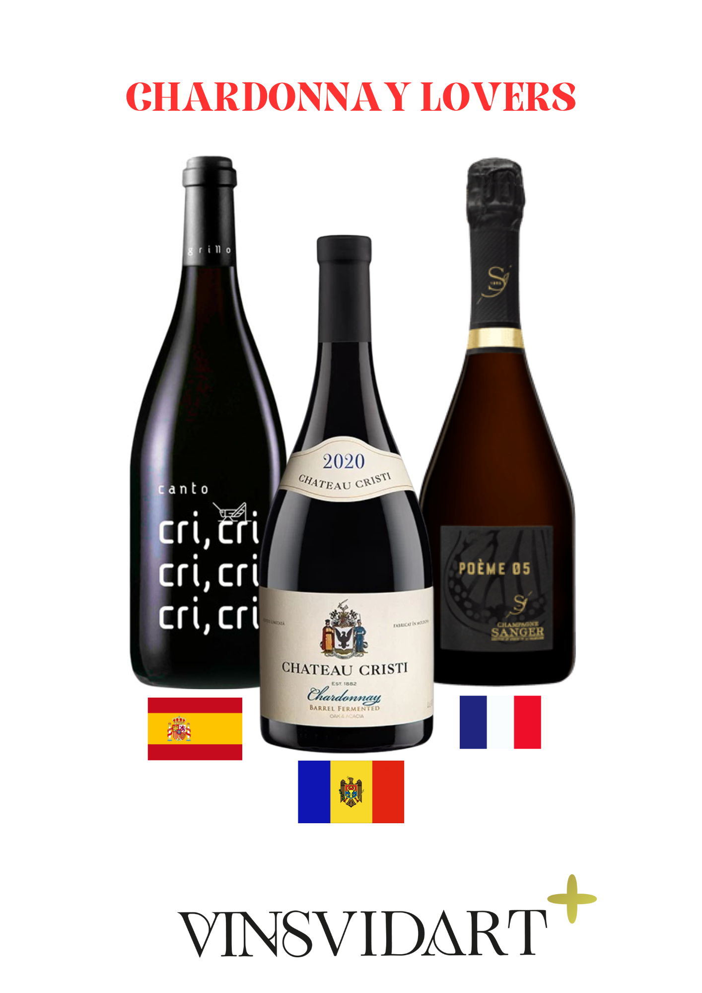 LOT VINSVIDART+ (1)