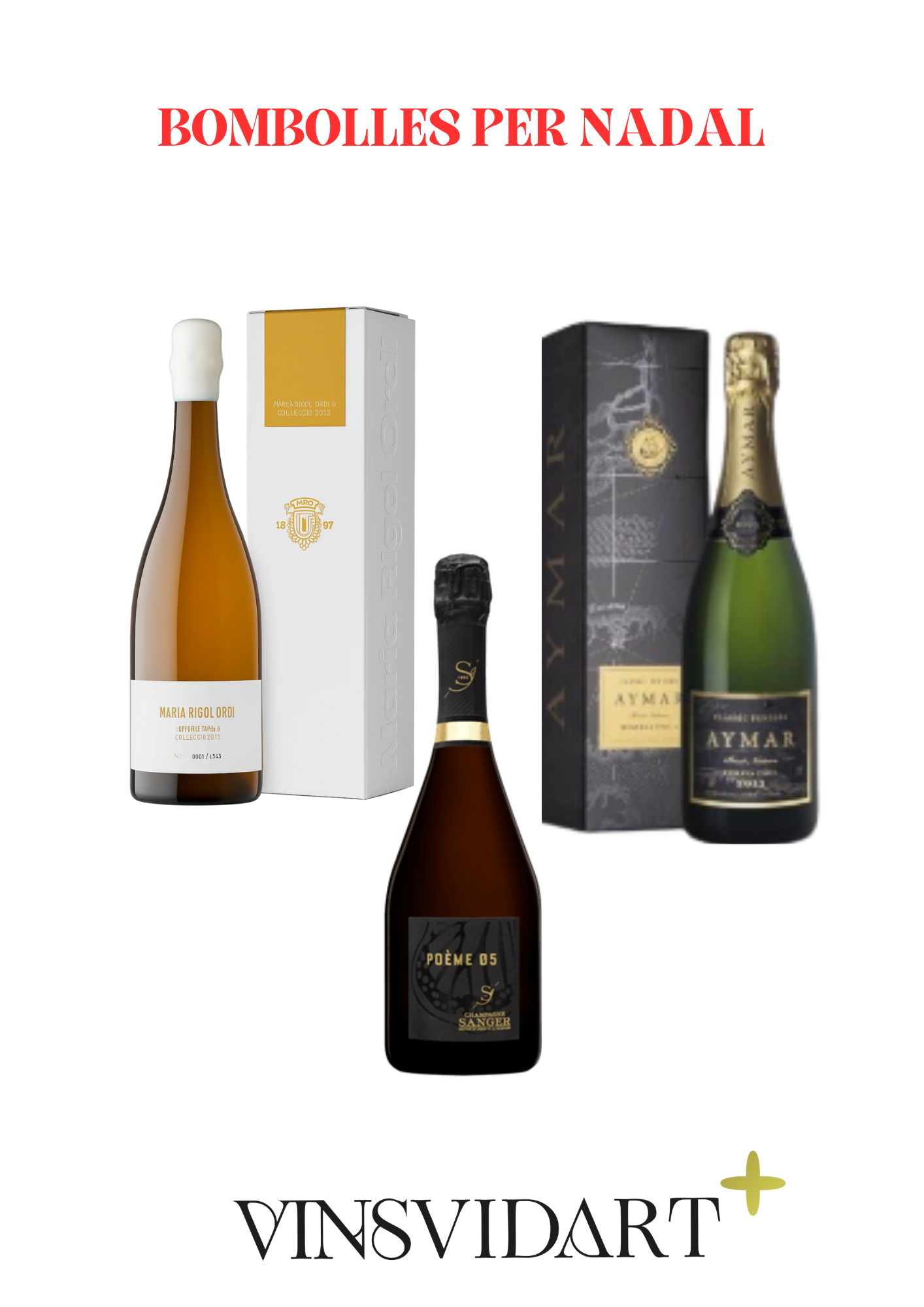 LOT VINSVIDART+ (2)