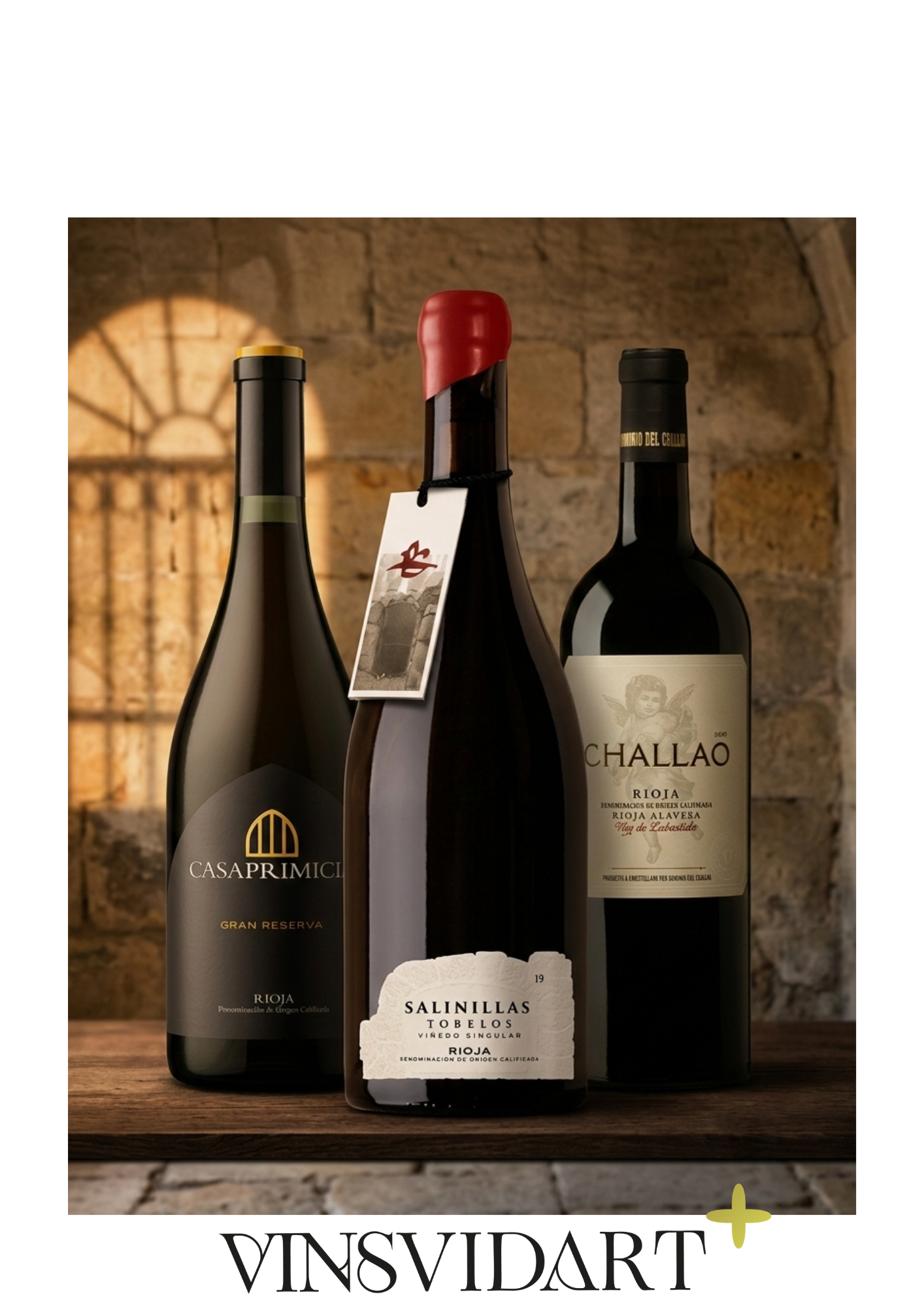 LOT VINSVIDART+ (4)